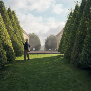 Alternative view of HUSQVARNA 520iHT4 STOKHAAGSCHAAR